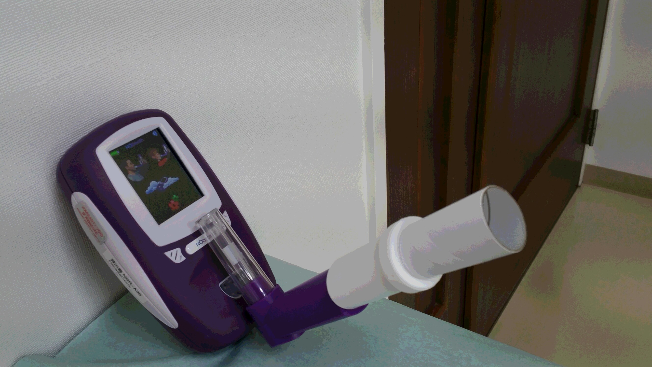 ポータブル呼気一酸化窒素濃度測定器